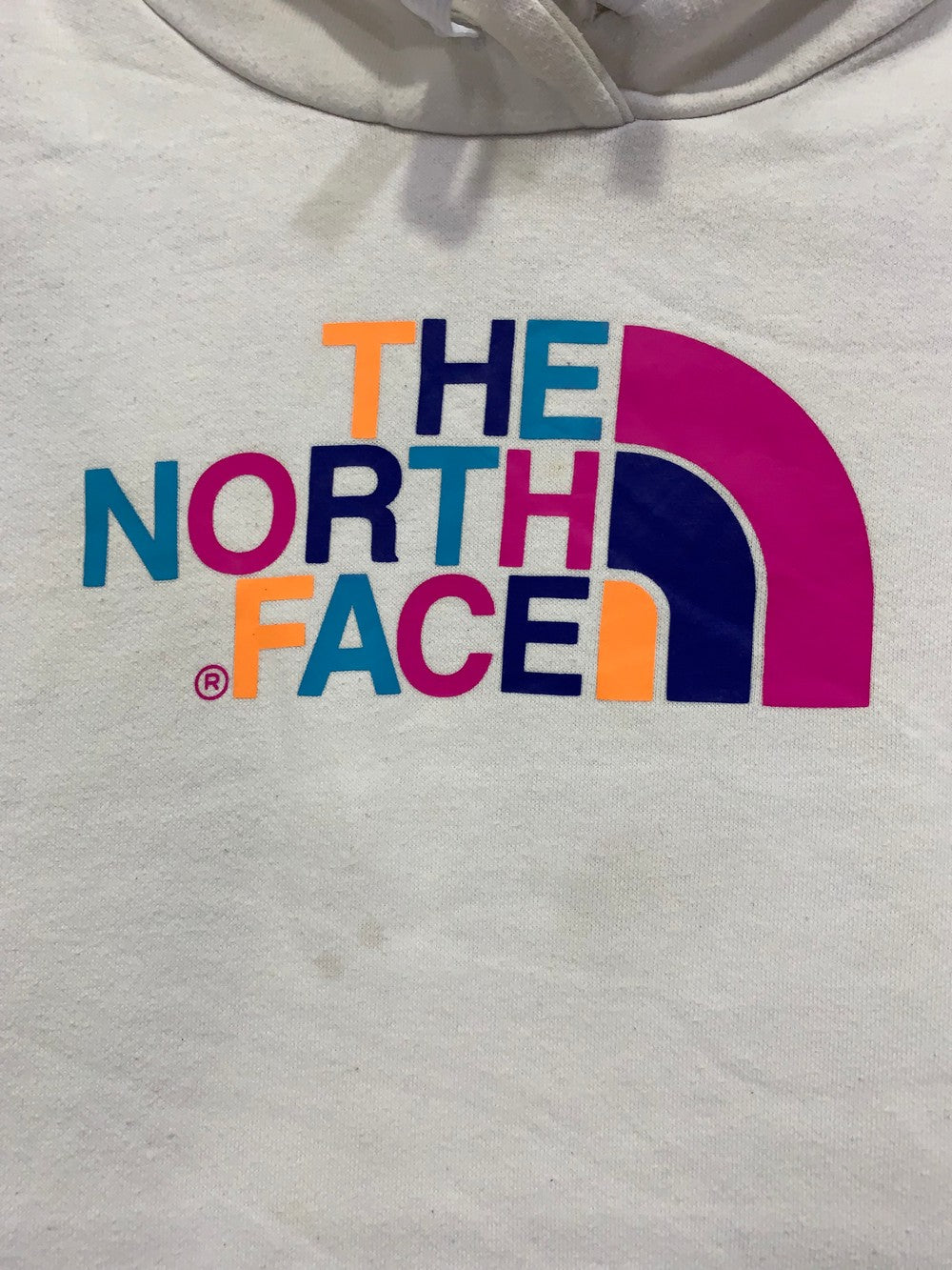 The North Face Branded Original For Women Hoodie